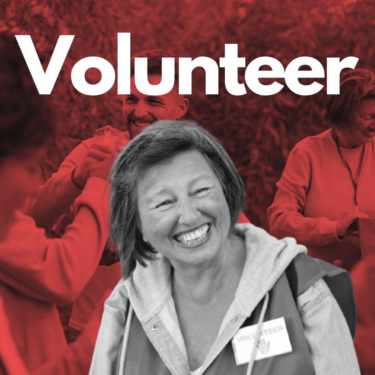 Enhancing Volunteer Screening: Protecting Your Organization and Mission